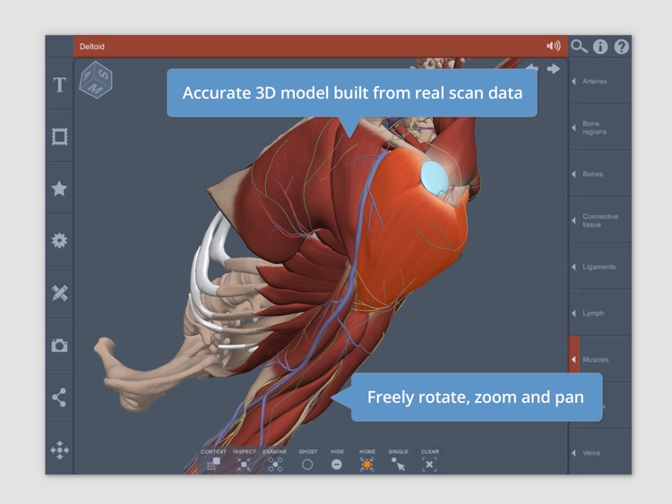 Shoulder: 3D Real-time Human Anatomy