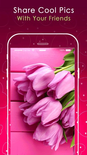 Pink Wallpapers HD Pro(圖3)-速報App