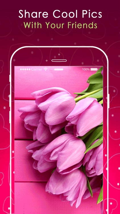 Pink Wallpapers HD Pro