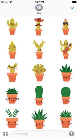 Cool Cactus