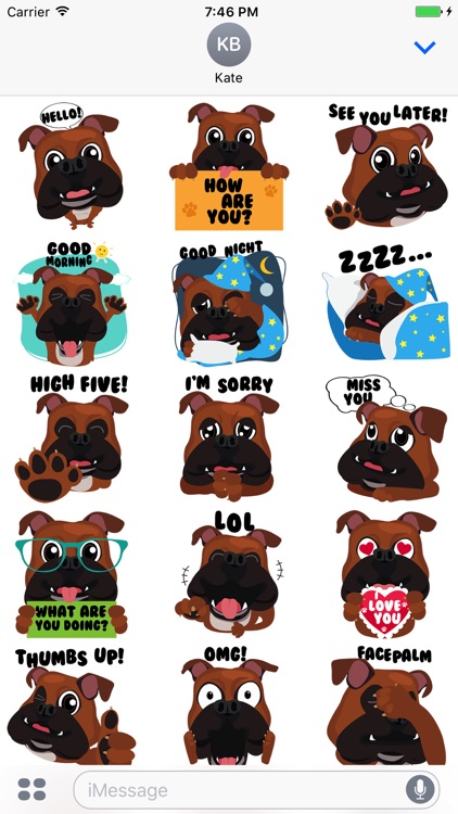 Bulldog Expressions Stickers for iMessage