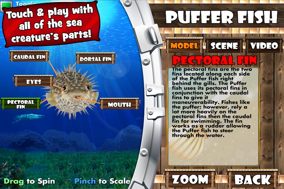 Popar Sea Life screenshot 3