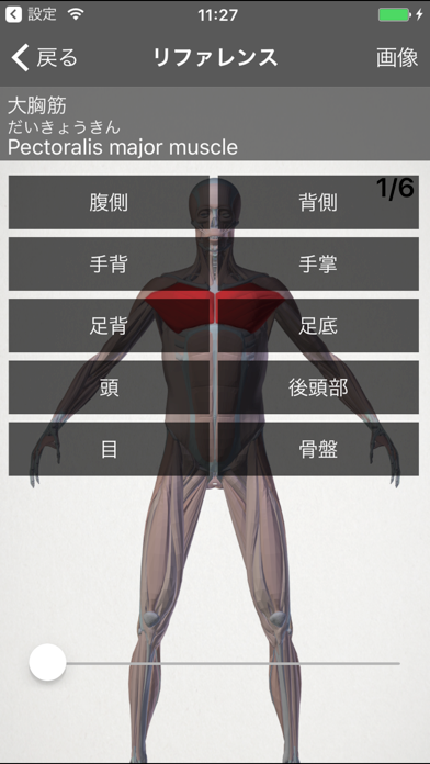 らくらく解剖学 筋肉 Iphoneアプリ Applion