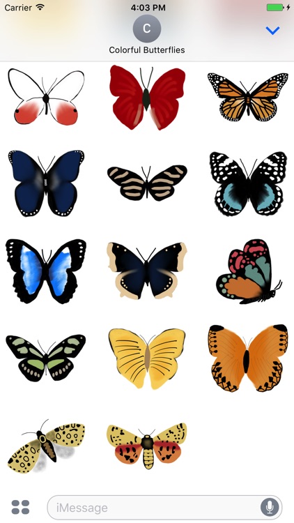 Colorful Butterflies