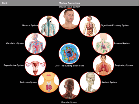 Anatomy Atlas: 3D Anatomical Model and Animation screenshot 4