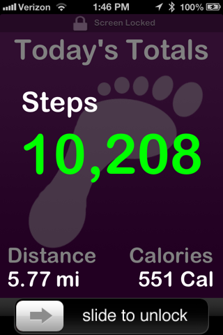 Pedometer Lite - náhled