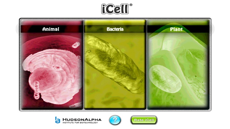 HudsonAlpha iCell