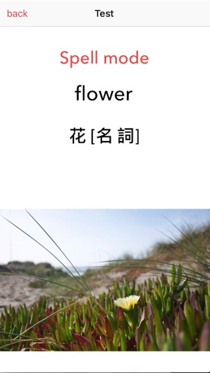 MemorizNewWord screenshot-4