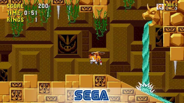 Sonic The Hedgehog