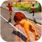 Angry Lion the king and the ruler of the jungle with the horrific and wildest hunting instincts and an appetite for hunting escape form jungle to city in Angry Beast Lion Attack simulation