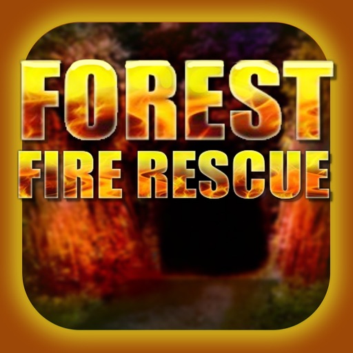 Can You Escape From The Fire Forest ?