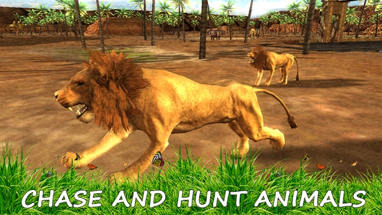 Wild Lion Simulator - Jungle Animal Hunter screenshot-3