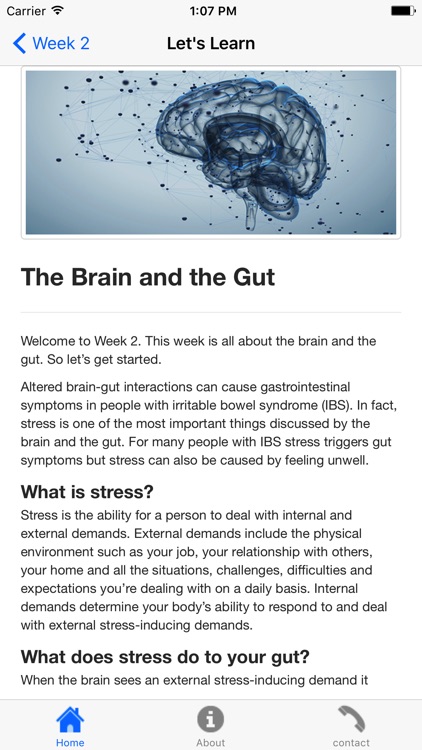 Mind + Gut 6 Week Gut-Directed Hypnotherapy