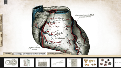 Gray's Anatomy Premium Edition Screenshot 5