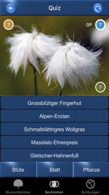 Alpenblumen Id Automatik Blumen, Kräuter bestimmen screenshot-3