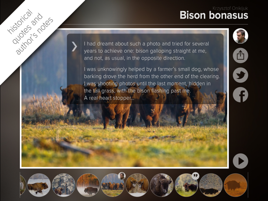 Bison bonasusのおすすめ画像4