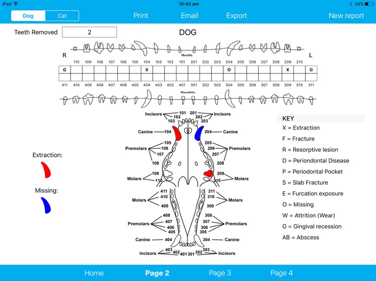 Pet Teeth Report