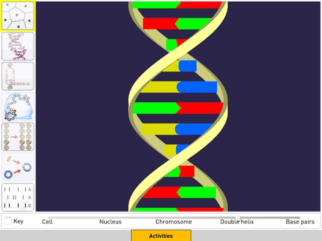 DNA from Sunflower Learning