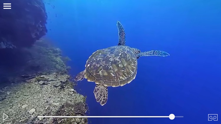 Dive Philippines Vr screenshot-7