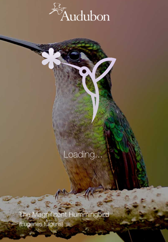 Audubon Hummingbirds at Home screenshot 2