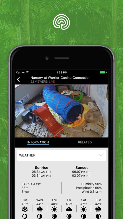 explore.org screenshot-4