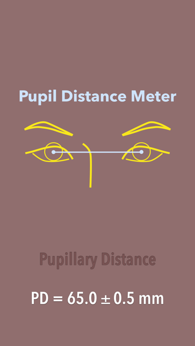 Pupil Distance Meter  PD rulerのおすすめ画像3