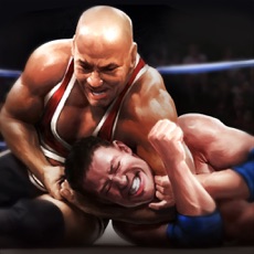 Activities of Real Wrestling 3D