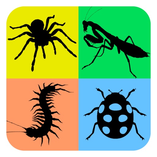 Insects Arachnids Life Cycle icon