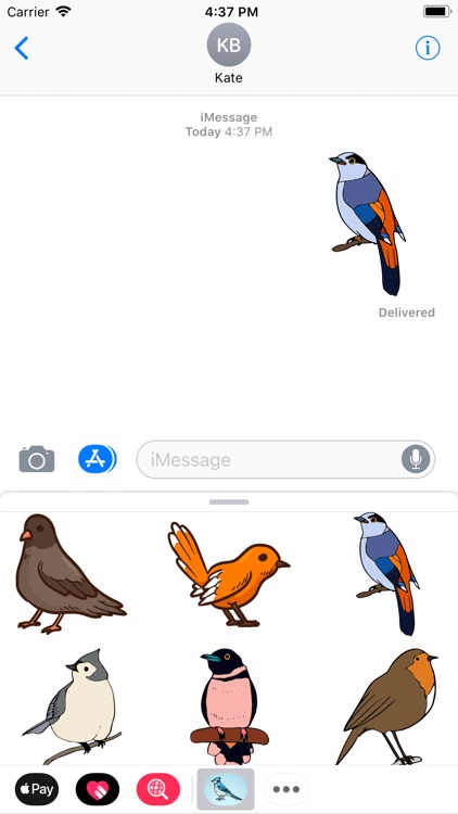 Tropical Bird Stickers