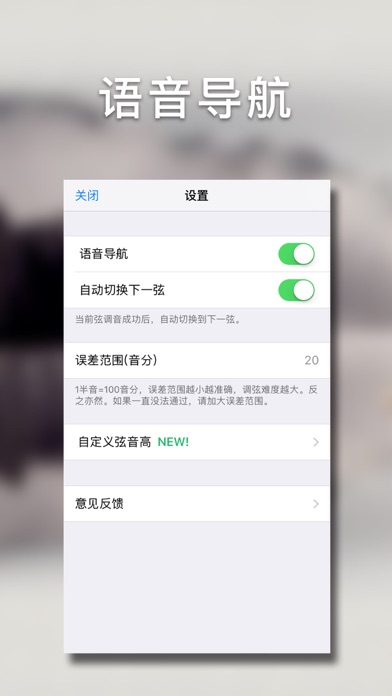 大阮调音大师 - 快捷专业调音器 screenshot 3
