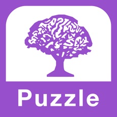 Activities of Number Place  Sudoku Puzzle