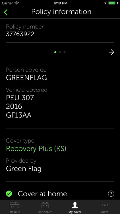 Green Flag screenshot-3