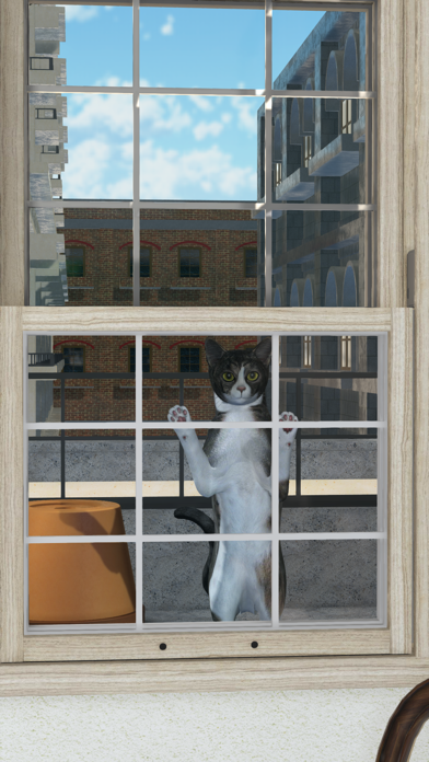 Escape Game:Cats in Italy screenshot 3