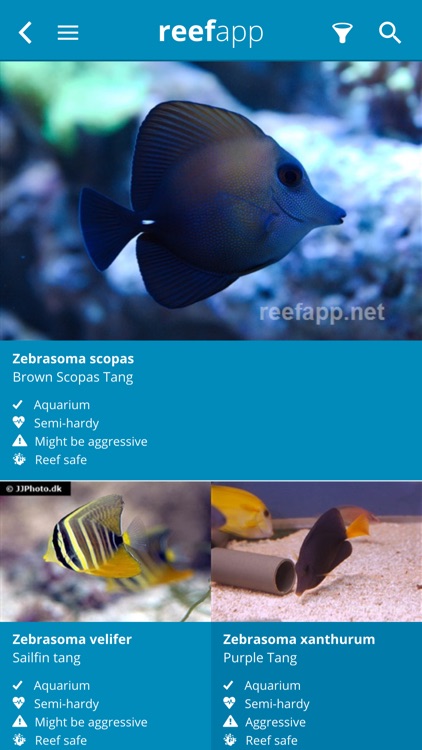 Reef App - Encyclopedia