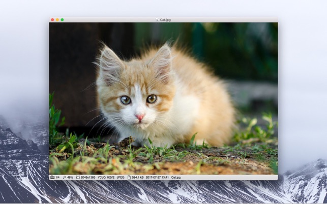 Xee³: Image Viewer and Browser