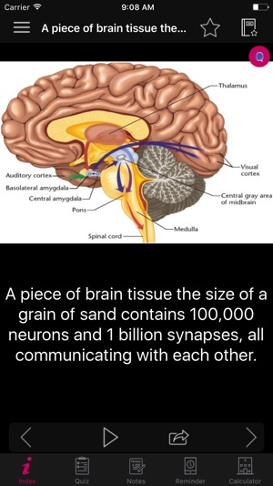 Human Brain Facts & Quiz 2000(圖5)-速報App