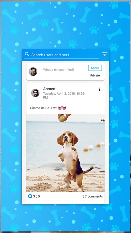 PetTopia-pet’s social network