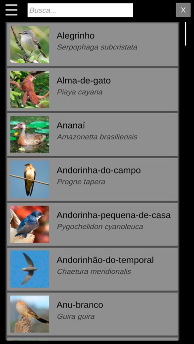 Guia Aves da Região Bragantina screenshot 3