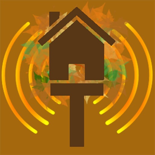 The Treehouse Radio Player Download