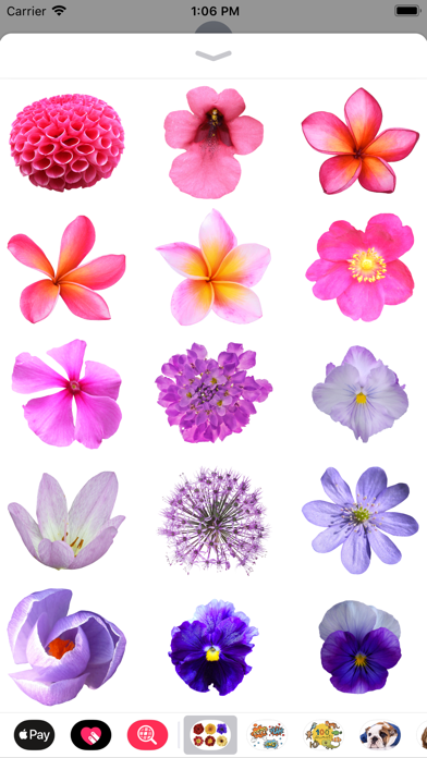 100+ Flower Stickers screenshot 3
