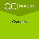 Exploring Osmosis