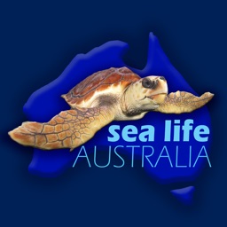 Sea Life Australia