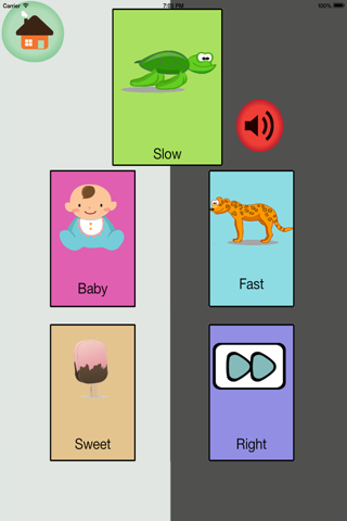 Opposites learn and play - náhled