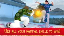 Game screenshot Tai Chi Fighting Simulator apk