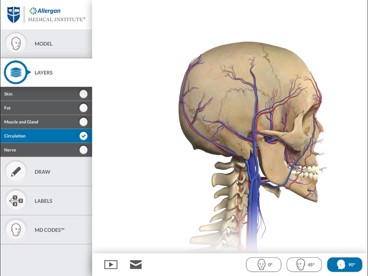 Interactive Anatomy - KW screenshot-3