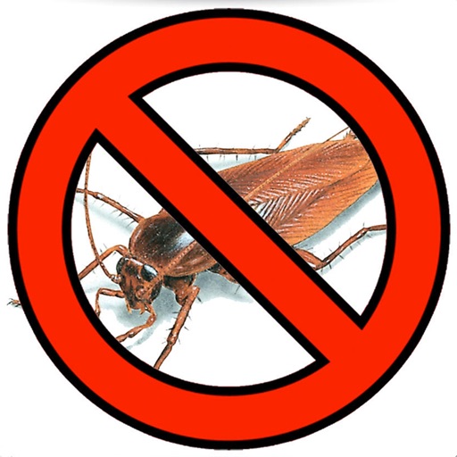Cockroach Bug Smasher icon