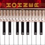 Get Hohner Piano Accordion for iOS, iPhone, iPad Aso Report