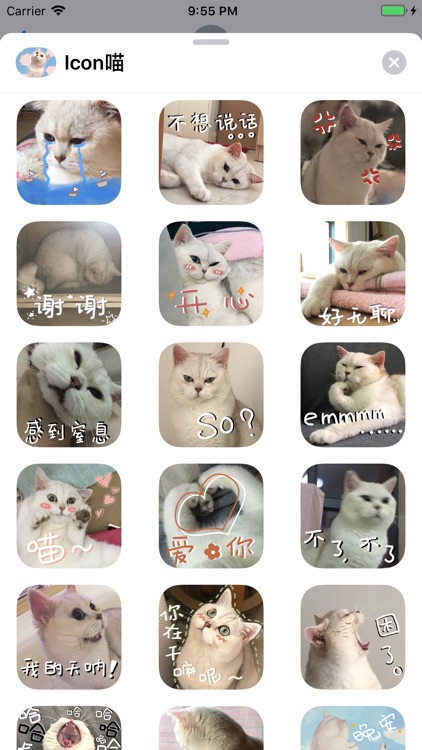Icon喵~