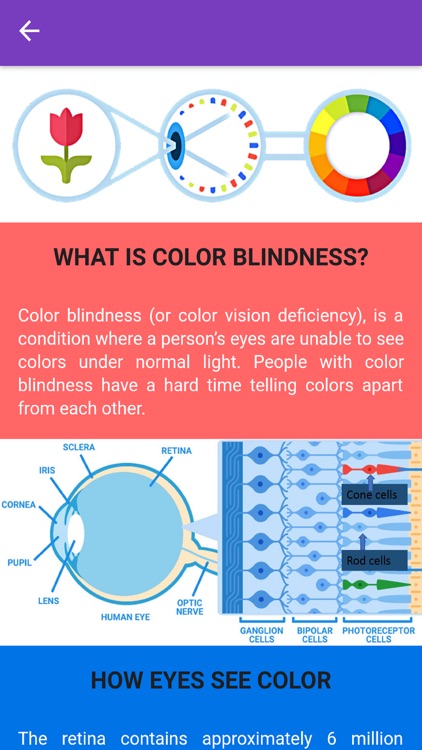 Colour Blindness Checker