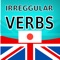 Icon 英語の不規則な動詞 - iVerbs
